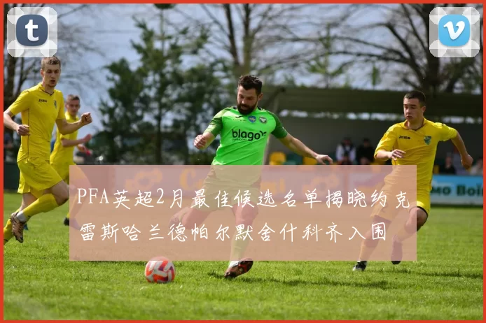 PFA英超2月最佳候选名单揭晓约克雷斯哈兰德帕尔默舍什科齐入围